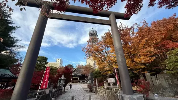 「国宝･松本城の冬の風物詩 “プロジェクションマッピング”と長野県最大級の “安曇野イルミネーション”！ この冬は 信州へ行こう！」の画像