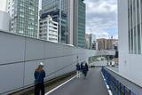「銀座の一等地に誕生した奇跡の空間を「空中公園」に！廃止された首都高速KK線の利活用イベント「Roof Park Fes & Walk 2026」潜入レポート」の画像43