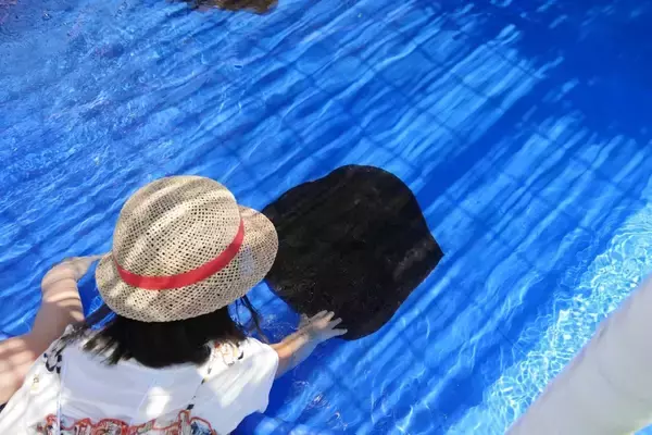 【感動】サメ肌に直接触れる貴重なチャンス！子どもも虜になる鴨川シーワールド「エイとサメのタッチングプール」【夏休み限定企画】