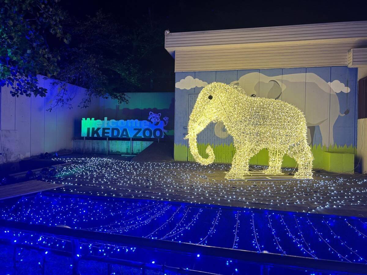 【岡山】夏休みは夜の動物園へ！池田動物園「光のナイトズー2026」で光と動物が彩る特別な夜