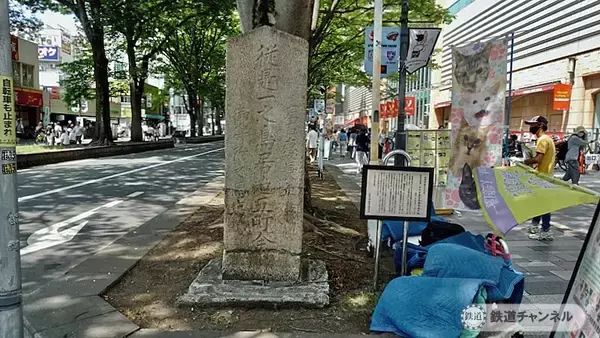 「府中と言えば「馬場大門のケヤキ並木」でしょ【駅ぶら】06京王電鉄　京王線137」の画像