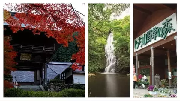 「山陰本線の京都～和知駅間が1日乗り放題に！「秋の京都丹波お出かけきっぷ」で紅葉と伝統芸能を堪能する旅へ 10/22発売」の画像