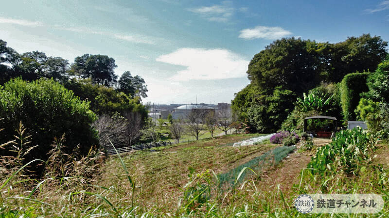 つくばエクスプレス【駅ぶら】057　流山セントラルパーク駅　その11　平和台大原神社　庚申塔
