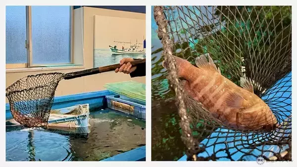 「【大飯郡･若狭町編】敦賀･若狭エリアを巡る福井旅！陰陽師･安倍家と暦を学び、高浜漁港直送の海鮮に舌鼓！ 熊川宿で熊川葛づくりも見学」の画像