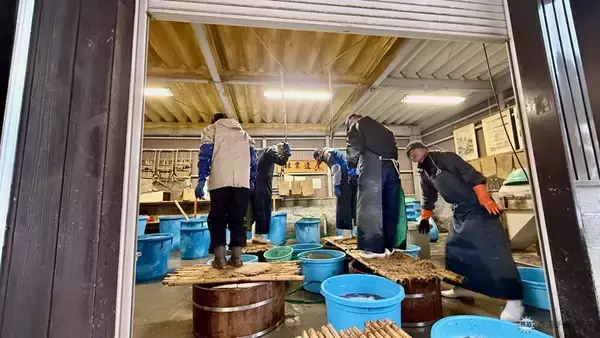 「【大飯郡･若狭町編】敦賀･若狭エリアを巡る福井旅！陰陽師･安倍家と暦を学び、高浜漁港直送の海鮮に舌鼓！ 熊川宿で熊川葛づくりも見学」の画像