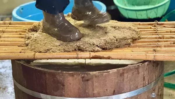 「【大飯郡･若狭町編】敦賀･若狭エリアを巡る福井旅！陰陽師･安倍家と暦を学び、高浜漁港直送の海鮮に舌鼓！ 熊川宿で熊川葛づくりも見学」の画像