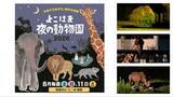 「【横浜市】夏の「夜の動物園」2026は何時から？ ズーラシア・野毛山・金沢の電車アクセスや見どころ、限定イベントを徹底解説！」の画像1