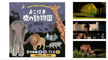 【横浜市】夏の「夜の動物園」2026は何時から？ ズーラシア・野毛山・金沢の電車アクセスや見どころ、限定イベントを徹底解説！