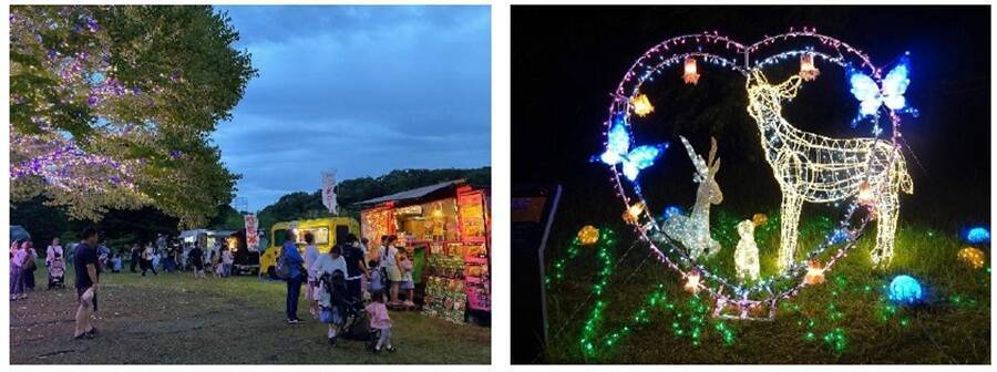 【横浜市】夏の「夜の動物園」2026は何時から？ ズーラシア・野毛山・金沢の電車アクセスや見どころ、限定イベントを徹底解説！