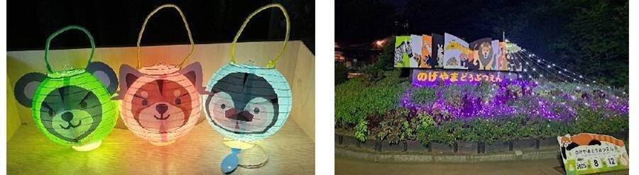 【横浜市】夏の「夜の動物園」2026は何時から？ ズーラシア・野毛山・金沢の電車アクセスや見どころ、限定イベントを徹底解説！