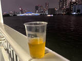 「夏の夜は「さるびあ丸」で飲もう！船上ビアガーデンで東京湾の夜景を眺めながら軽く一杯……工場直送生ビールや島グルメが美味い」の画像1
