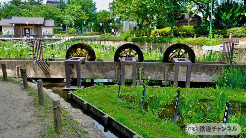 つくばエクスプレス【駅ぶら】026　青井駅　その4　しょうぶ沼公園