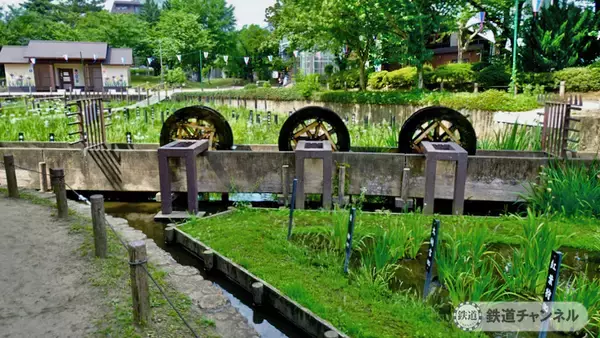 「つくばエクスプレス【駅ぶら】026　青井駅　その4　しょうぶ沼公園」の画像