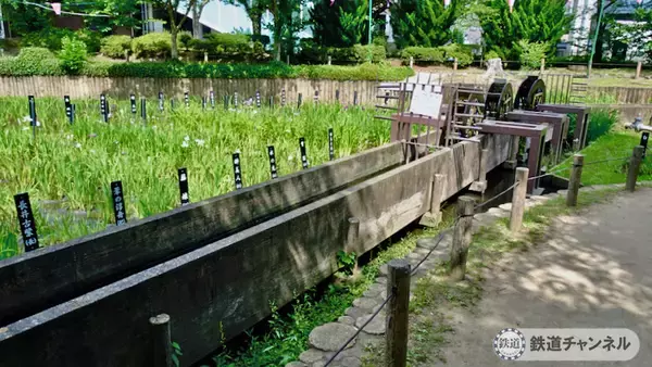 「つくばエクスプレス【駅ぶら】026　青井駅　その4　しょうぶ沼公園」の画像