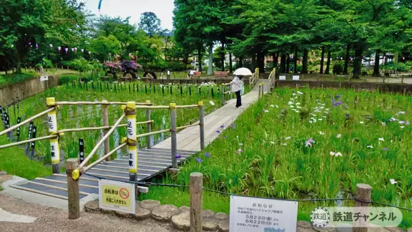 「つくばエクスプレス【駅ぶら】026　青井駅　その4　しょうぶ沼公園」の画像