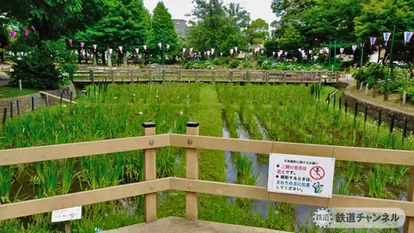 「つくばエクスプレス【駅ぶら】026　青井駅　その4　しょうぶ沼公園」の画像