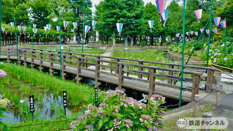 つくばエクスプレス【駅ぶら】026　青井駅　その4　しょうぶ沼公園