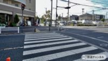 つくばエクスプレス【駅ぶら】054　流山セントラルパーク駅　その8　耳だれ地蔵