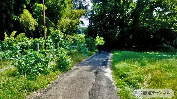 「つくばエクスプレス【駅ぶら】054　流山セントラルパーク駅　その8　耳だれ地蔵」の画像
