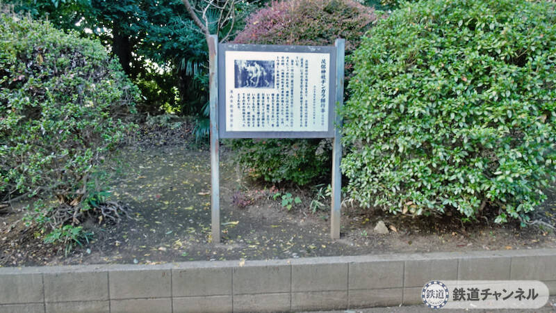 つくばエクスプレス【駅ぶら】066　流山おおたかの森駅　その8　三輪茂侶神社