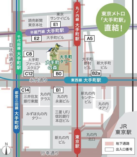 東京･大手町に焼き芋の名店16店が集結「森のやきいも」1/21～開催！駅直結の“本物の森”で楽しむ究極のお芋スイーツ休憩