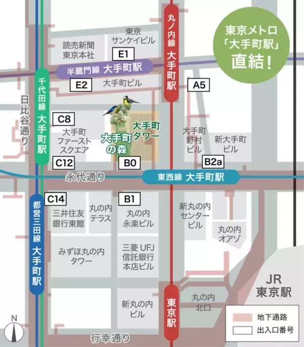 「東京･大手町に焼き芋の名店16店が集結「森のやきいも」1/21～開催！駅直結の“本物の森”で楽しむ究極のお芋スイーツ休憩」の画像