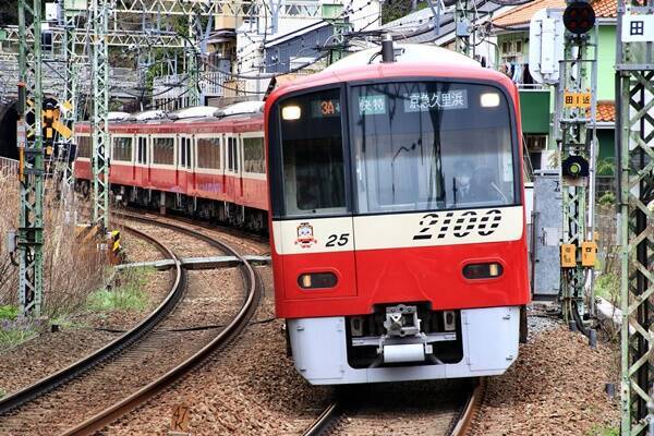 今が見頃！JR・京急の久里浜駅から歩いていけるネモフィラの花見スポット（神奈川県横須賀市）