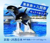 「【シャチに会いに行こう！】京阪とJR西の乗り放題券＋神戸須磨シーワールド入館券 がセットでおトクな1dayパス 発売中」の画像2