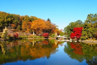 町田･薬師池公園で紅葉ライトアップと『雲海』を！ 約50店が集う「おくまちいち」や参加無料の園内ガイドツアーなど秋遊び見どころガイド 10/31-11/29