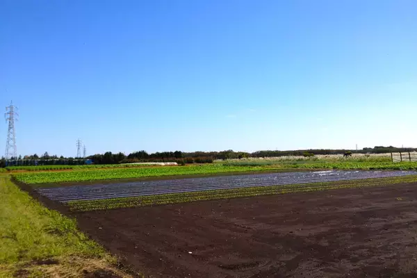 「横浜でディズニーランド規模の “新テーマパーク” 計画が進行中！相鉄駅からの新交通、東名高速の新IC＋次世代物流で横浜･上瀬谷が未来都市に」の画像