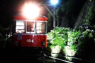 車窓にライトアップされる花々を鑑賞　小田急箱根の「夜のあじさい号」運転始まる（神奈川県箱根町）