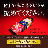 「認知率わずか7％ 森永チョコアイス PARM の定番じゃない方が痛い叫び！ 6/26までTwitter投稿プレゼントも実施中」の画像4