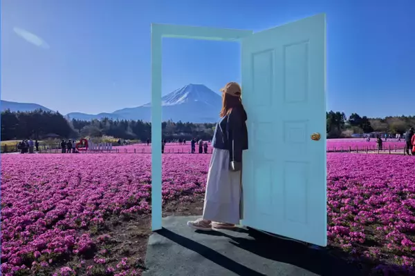 「「2026富士芝桜まつり」開幕！ 富士山と約50万株の芝桜による絶景 最新フォトスポットから限定グルメ、ペット入場緩和情報まで解説」の画像