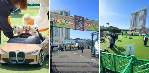 「お台場で「肉フェス」開催【2026年GW】松阪牛･佐賀牛の名店20店が集結、ウルフギャングも！キッズ遊具やペット同伴エリアも進化」の画像