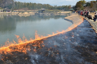 冬の岡山を彩る風物詩　後楽園の「芝焼き」から倉敷の「雛めぐり」まで季節の移ろいを楽しむ伝統行事4選