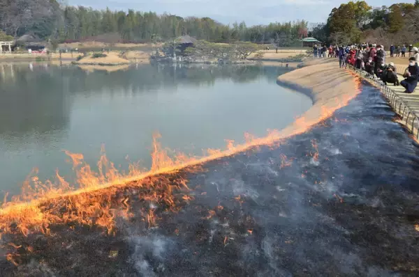 冬の岡山を彩る風物詩　後楽園の「芝焼き」から倉敷の「雛めぐり」まで季節の移ろいを楽しむ伝統行事4選
