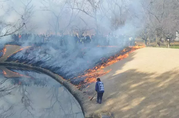 「冬の岡山を彩る風物詩　後楽園の「芝焼き」から倉敷の「雛めぐり」まで季節の移ろいを楽しむ伝統行事4選」の画像
