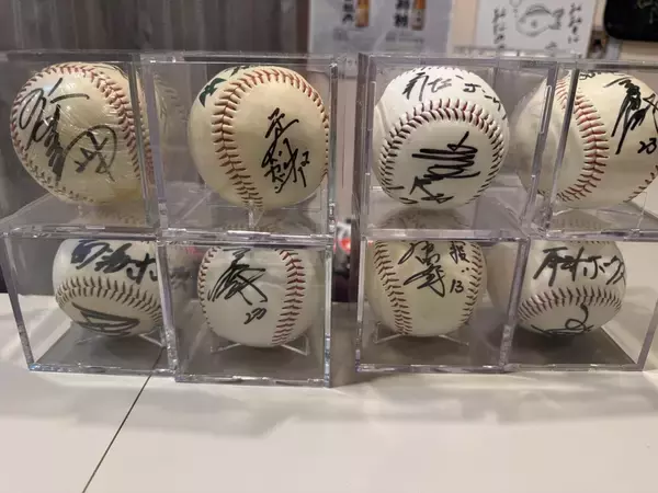 「南海ホークス球団歌が難波駅の発車メロディーに！ 創業140周年記念で「サザン」復元塗装車に球団マークの表示も（12/3スタート）」の画像