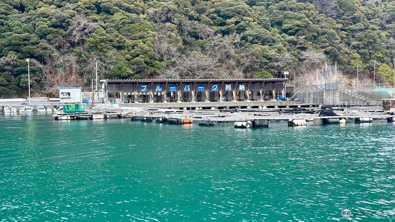 【美浜町・小浜市編】敦賀・若狭エリアを巡る冬の福井旅 三方五湖を巡るクルーズに若狭ふぐ尽くし、伝統神事「お水送り」の舞台も見学