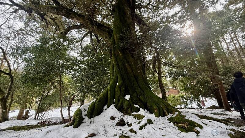 【美浜町・小浜市編】敦賀・若狭エリアを巡る冬の福井旅 三方五湖を巡るクルーズに若狭ふぐ尽くし、伝統神事「お水送り」の舞台も見学