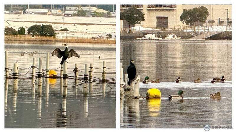 【美浜町・小浜市編】敦賀・若狭エリアを巡る冬の福井旅 三方五湖を巡るクルーズに若狭ふぐ尽くし、伝統神事「お水送り」の舞台も見学