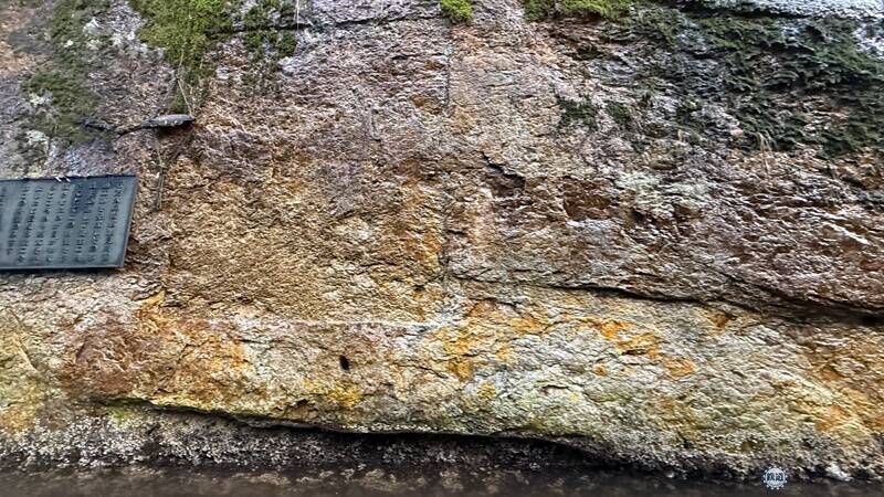 【美浜町・小浜市編】敦賀・若狭エリアを巡る冬の福井旅 三方五湖を巡るクルーズに若狭ふぐ尽くし、伝統神事「お水送り」の舞台も見学