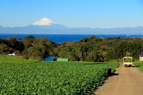「京急線「乗降人員ランキング」ワースト1位は意外な駅？巨大ターミナル横浜･品川の動向や、新空港線で注目の蒲田は何位？」の画像