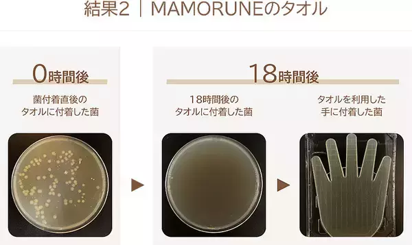 「KBツヅキ 抗菌タオル MAMORUNE マモルネ 9/15から発売！天然繊維の柔らかさと抗菌 消臭を両立、10年越し研究の集大成＿防災用やキャンプ用にもおすすめ」の画像