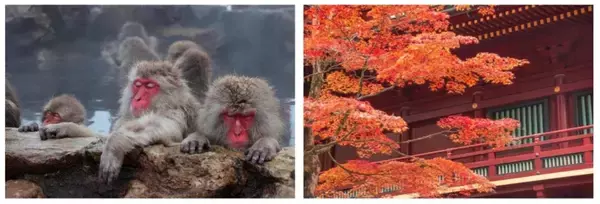 「最大9連休の年末年始旅行！穴場コスパランキング国内・海外1位はどこ？【2025年版】」の画像