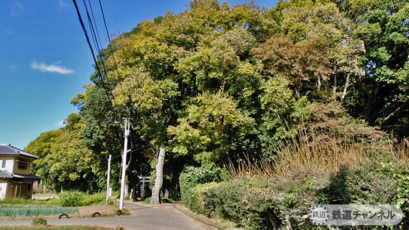つくばエクスプレス【駅ぶら】071　流山おおたかの森駅 その13　南190-1 神明神社、上新宿291 八坂神社