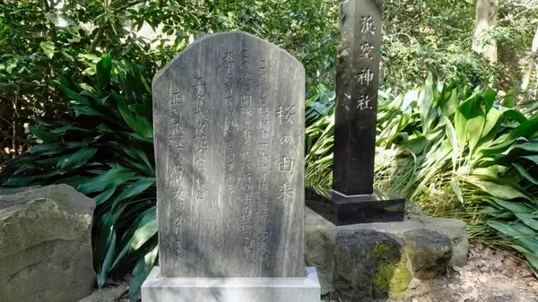 「悲しい石碑群【駅ぶら03】京浜急行66」の画像