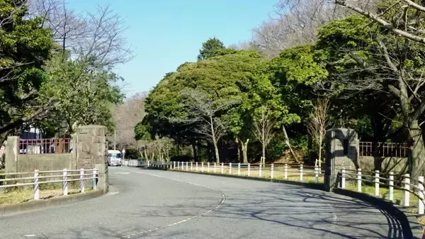 「悲しい石碑群【駅ぶら03】京浜急行66」の画像