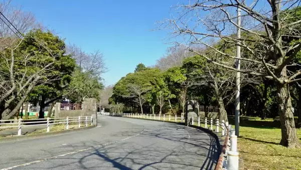 「悲しい石碑群【駅ぶら03】京浜急行66」の画像
