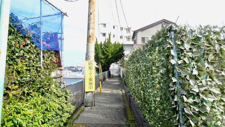 眺望が良い＝登ること！【駅ぶら03】京浜急行83